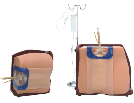 Versatile Spinal Vertebral Puncture Training Simulator for Medical Professionals