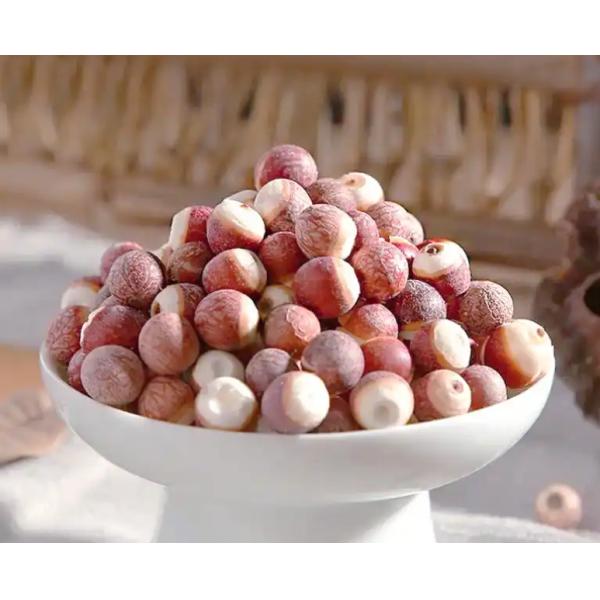 Produit biologique de semence Euryales Ingrédients alimentaires de santé Euryale Ferox