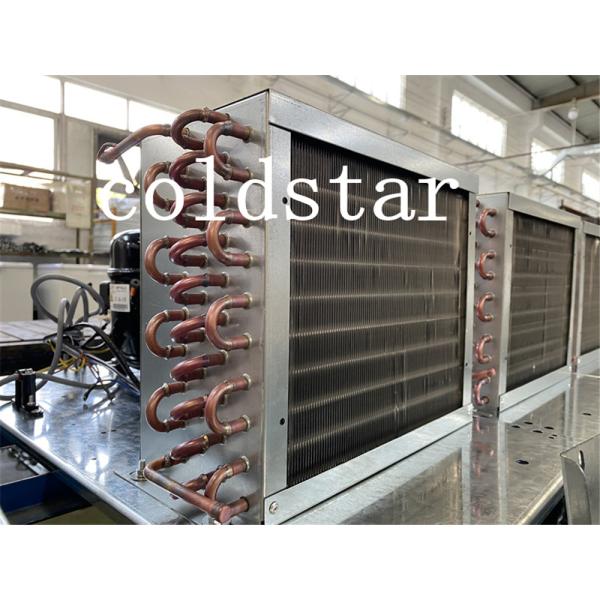 Commercial Single Door Ice Storage Merchandiser With Sticker