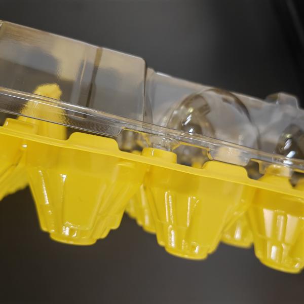 15 Hole Plastic Egg Packaging Egg Bottom Cover Separation Disposable Egg Tray