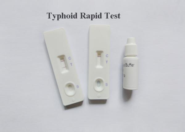 Reliable Typhiod Bacterial Infection Blood Test  Medical Diagnostic Highly Accurate