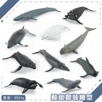 10 PCS Mini Whale Modelo Brinquedo Desktop Decoração Coleção Festa Favoritos Brinquedos Para Meninos Meninas Crianças