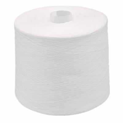Fios de poliéster branco bruto 50 / 2 Boa resistência Durabilidade superior