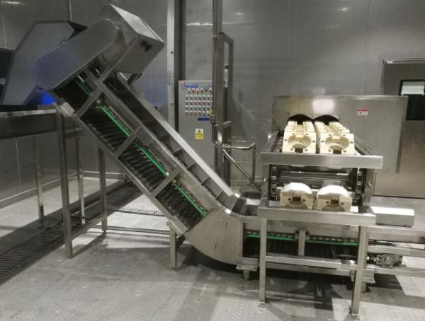 6000LPH Automatic Control Fruit Processing Equipment For Coconut Milk Drink