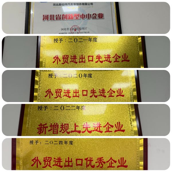 Hebei Sibote Auto Parts Co., Ltd.