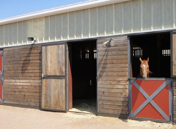 Prefabricated Steel Structure Horse Barn - Durable Metal Horse Stables