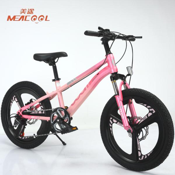 Fashionable Lightweight Mountain Bike 24