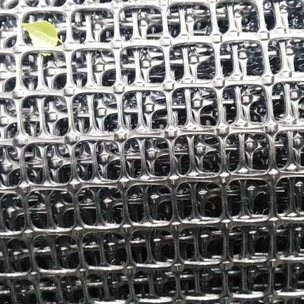Industrial Design Style Bidirectional Plastic Geogrid for Road Foundation Enhancement