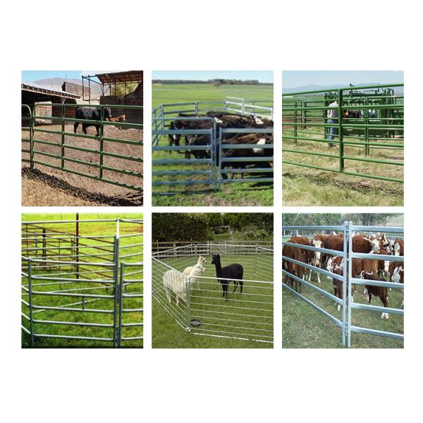 Iron Round Pipe 5 Ft High Heavy Duty Cattle Panel Hot Dip Galvanized