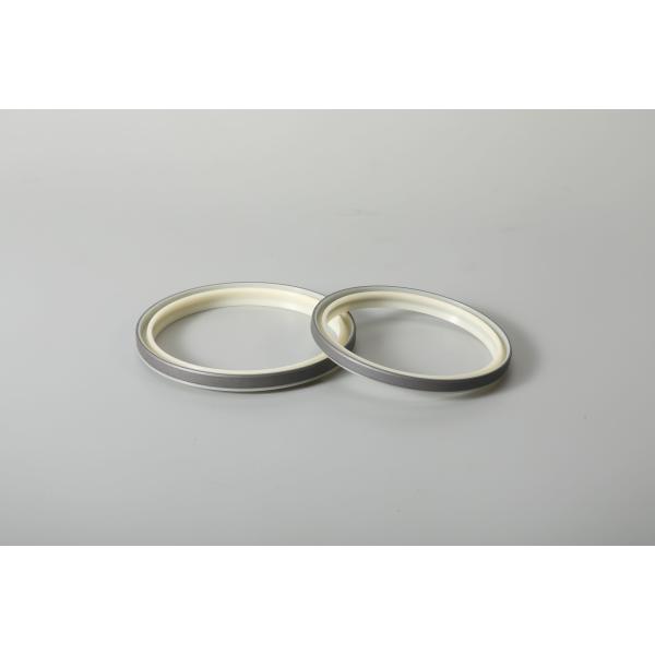 0.05mm Tolerance Oil Seal Water Chemical Resistance Double Lip Seal Hydraulic Cylinder