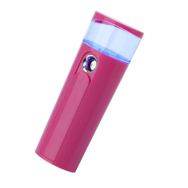 2 In 1 Handheld Skin Analyzer Humidifier Ionic Cool With Power Bank Function