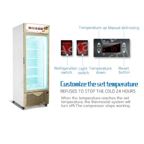 800L Glass Double Door Upright Display Freezer