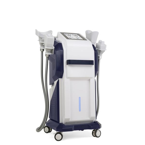 Замораживание Cryolipolysis жирного удаления жирное уменьшая ваять тела EMS Cryo машины