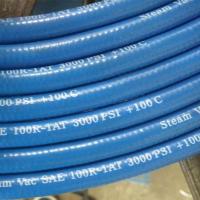 Azul liso da mangueira de alta pressão de 3000 libras por polegada quadrada para líquidos de limpeza do tapete