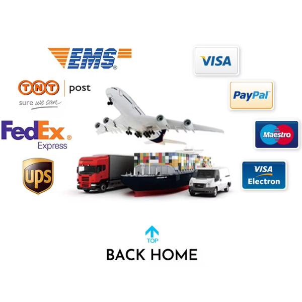 Modern Simple ABS Toilet Bidet Airbrush New Handheld Bidet Shower Bathroom