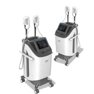 Fat Reduction Multifunction Beauty Machine Helping Blood Circulation High Efficiency