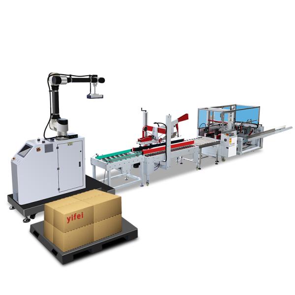 IP65 Packaging Line with Case Carton Bag Box Erector Folding Sealer Palletizer System