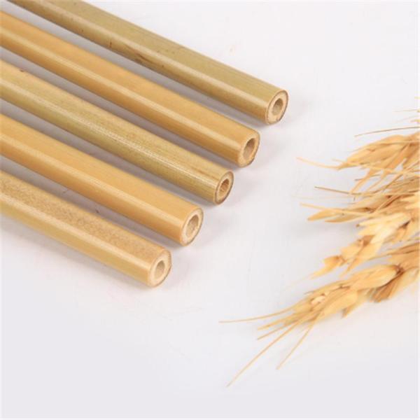 Customized Sculpture Logo Travel Eco Friendly Bamboo Straw Estimated Delivery Time