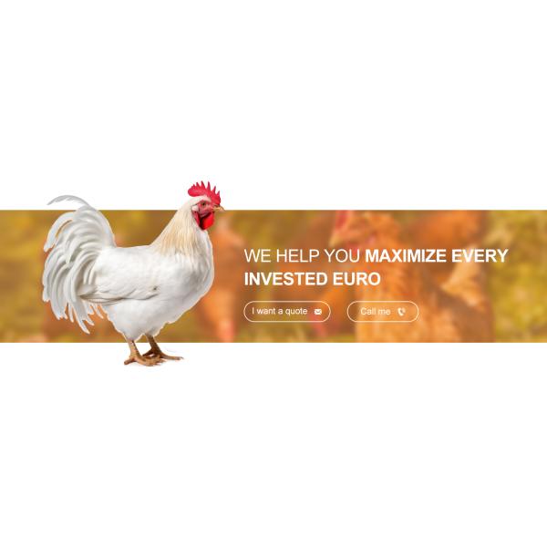 Система клеток для бройлеров птицеводческих хозяйств с чертежным дизайном MTS и стальным классом