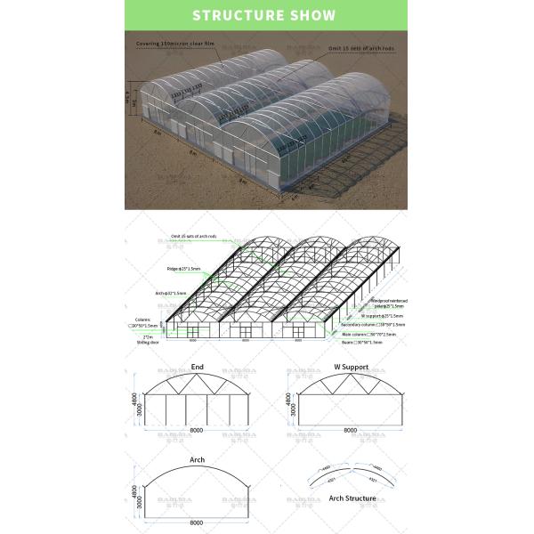 BAOLIDA 24x40m Single-Span Greenhouse With 150micron PE Film