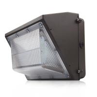 Aluminio llevado fuera de las luces 60w 80w 100w 120w Ip65 AC100V 130lm/w de la pared