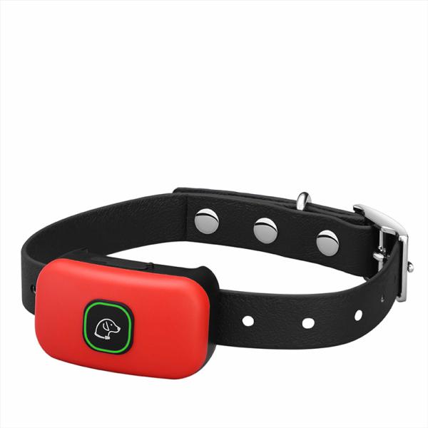 соответствовать воротника тренировки собаки дистанционного управления ряда приема 300m быстро водоустойчивый