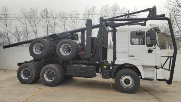 430Hp Wood Logging Truck SHACMAN F3000 6x4 10wheels Lumber Delivery Truck