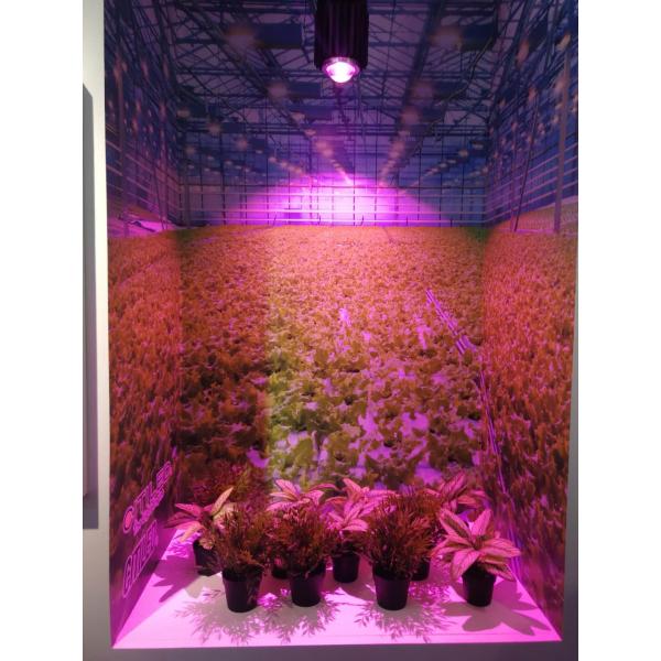 PCB Board 21w SMD 3535 450nm 455nm Led Chip Full Spectrum