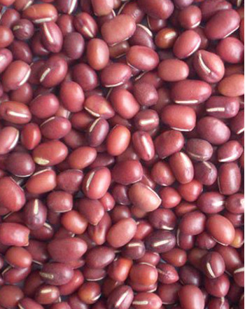 Triple Chutes Full Color RGB Camera Color Sorter beans Color Separate Machine