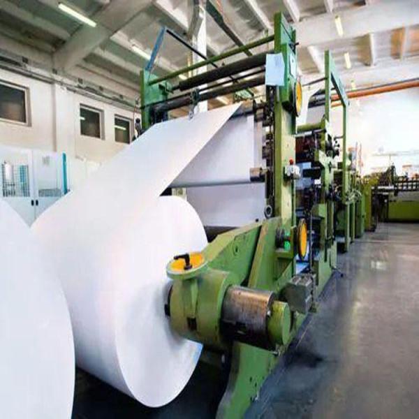 Uncoated White Folding Box Board C1S FBB Jumbo Roll for Eco-Friendly Packaging