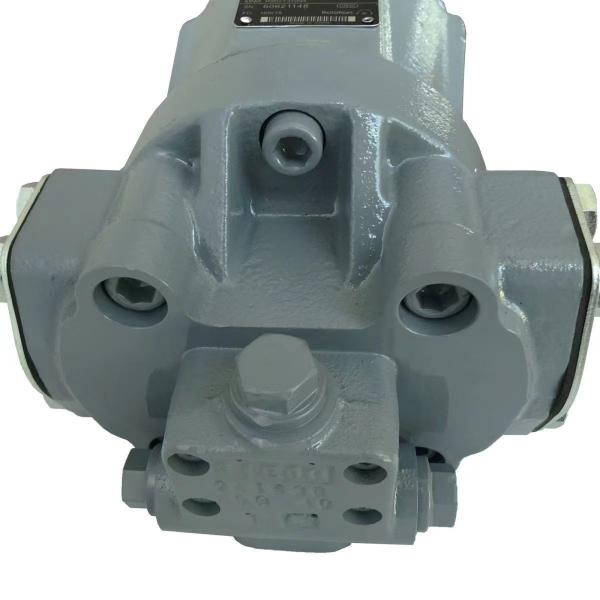 SGP Tractor Hydraulic Pump with Brass Cage and High Precision P0