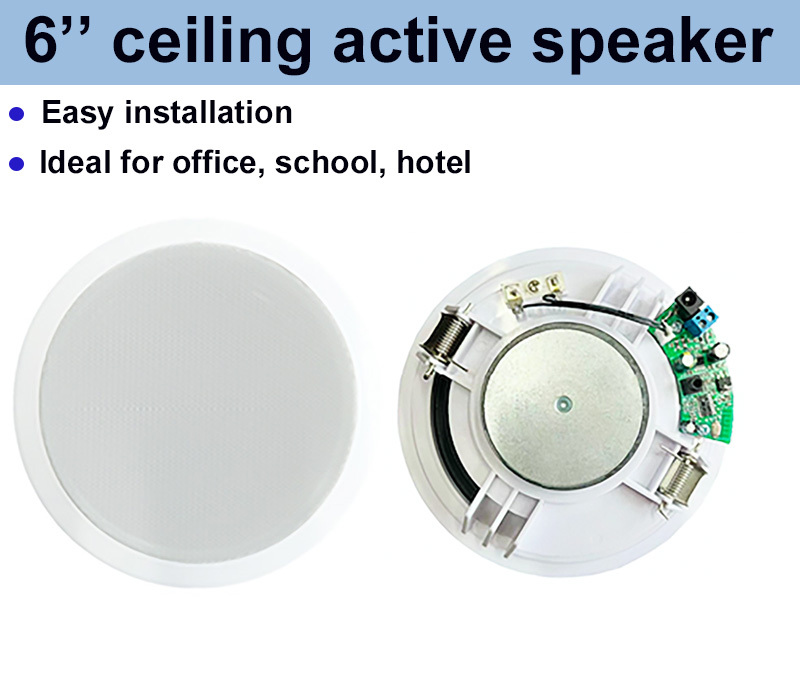 Oval 6 Inch Ceiling Active Speaker ABS Dual Cone 4×10W OEM ODM