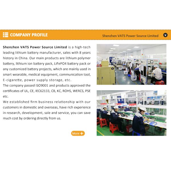 Customized 16000mAh 7.4V Li-ion 18650 Battery Pack for Power Tools and Electronics