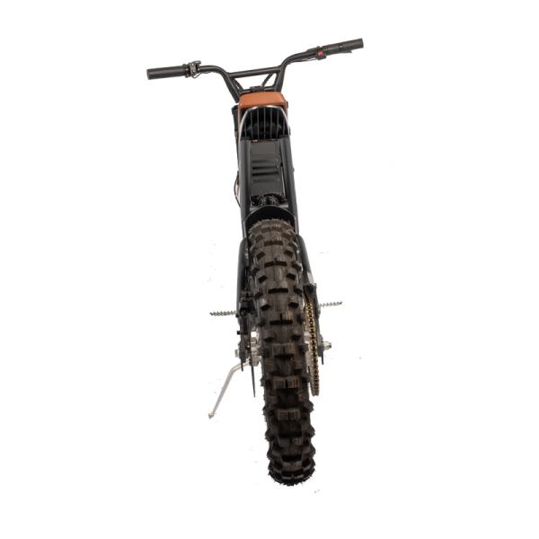 Steel Frame Fat Tire Bicycle Electric Dirt Bike for Men Rear Hub Motor Braking System