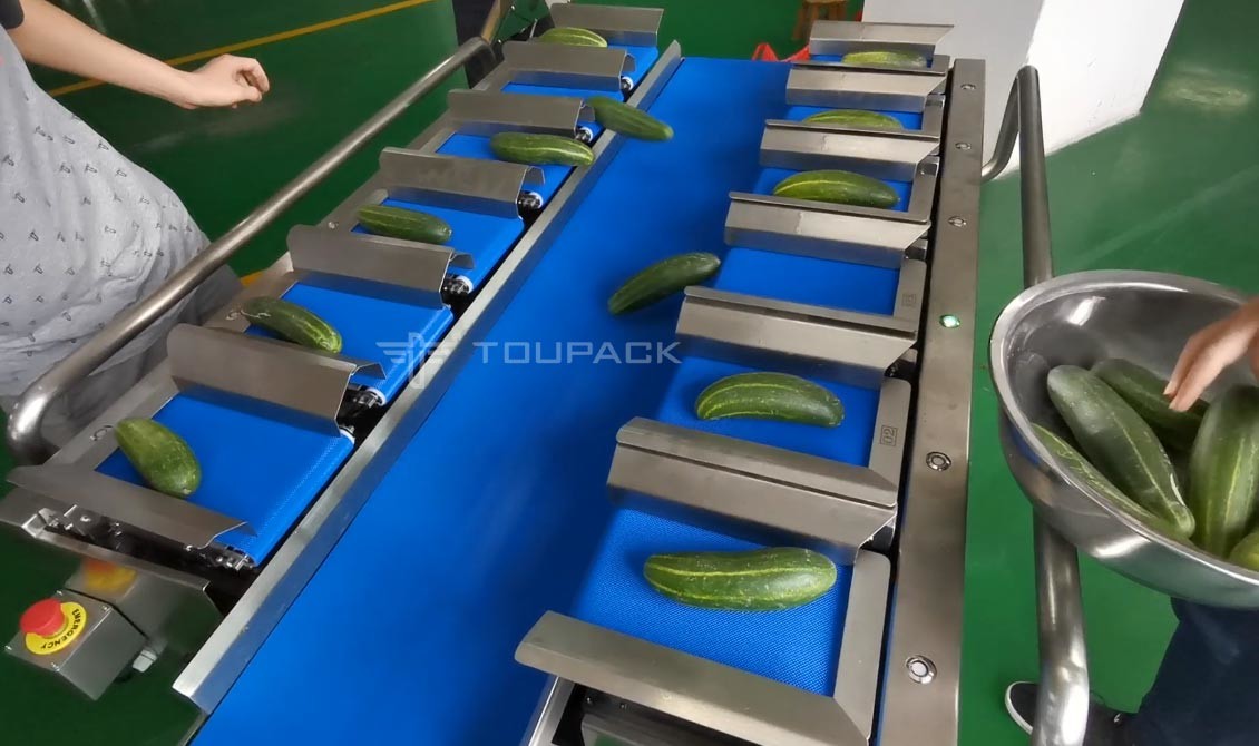 Semi автоматический Weigher комбинации 12 поясов для Chili огурца моркови овоща