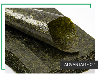 Silver Grade 10Sheets Sushi Nori Certified Dark Green Hand Roll Temaki Roasted Sushi Nori Seaweed Wrapper