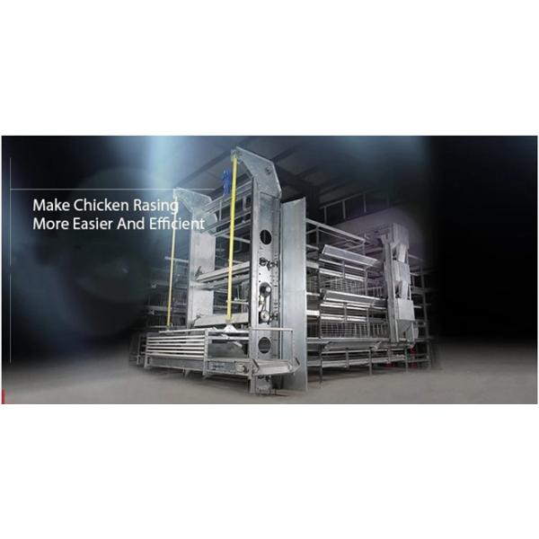 Chicken Egg Livestock Farming Equipment Farmer Automatic Poultry Equipment
