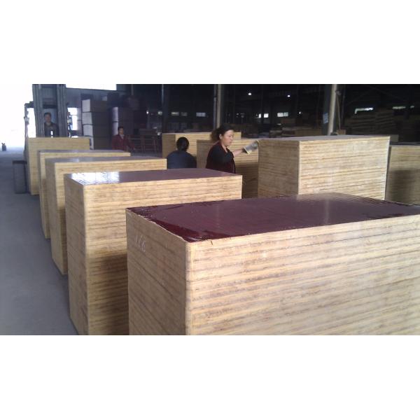 black film faced plywood/shuttering plywood /building construction materials,poplar core,