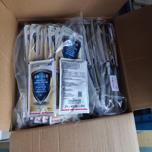 PrGV Spray Insecticide Biologique Végétal en Poudre Mouillable Efficace pour Tuer les Adultes et les Œufs de la Teigne des Crucifères