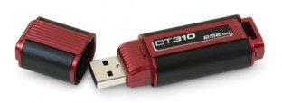 O flash marcado de USB conduz DT310