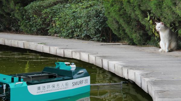 Small Electric Thruster Pond Maintenance Boat Lake Weed Harvester SMURF20