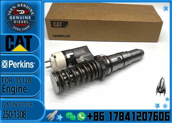 diesel engine parts Common rail injector  250-1304 250-1303 250-1306 250-1308 250-1312 392-6214 250-1314 359-5469