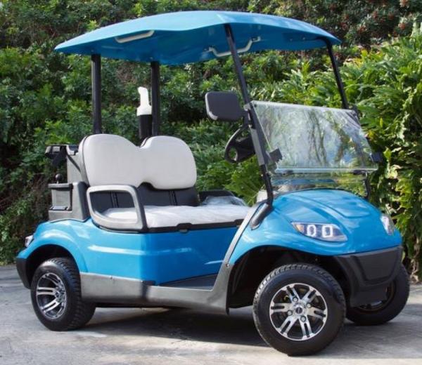 48V 4KW Chariots électriques légaux pour 2 personnes