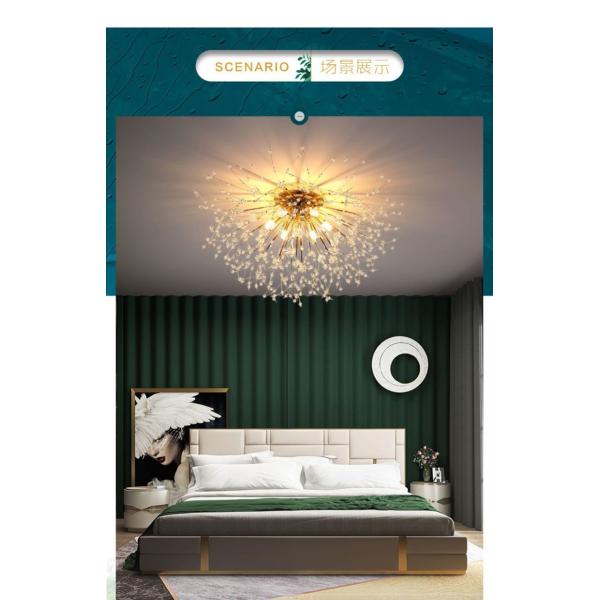 Dandelion Ceiling Light Living Room Kitchen Decor Firework Snowflake Ceiling light(WH-MA-168)