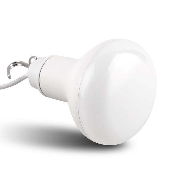 Office USB Powered Light Bulb Lamp Brilliant Warm White Light Bulbs