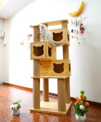 Segurança Cat Climbing Tree Tower de luxe
