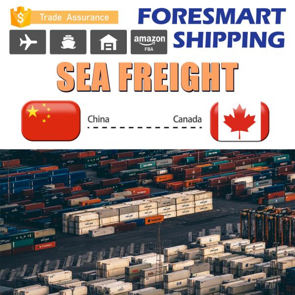 Frete de mar de Shenzhen LCL, China ao transporte do oceano de Canadá LCL