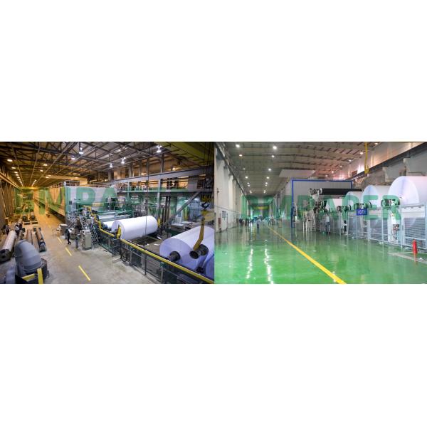 bmpaper factory SGS CAD Plotter Paper 24 X 150 Inkjet Bond Paper Rolls 20lb 2