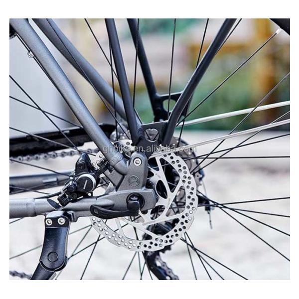 Bafang Central Motor 25KM/H 8.8AH Lithium Battery OEM CE Electric City Cargo Bicycle