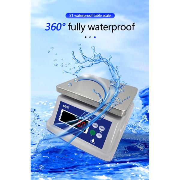Battery 6V/5Ah 30KG Waterproof Scale with Double Layer Structure and Precision Sensor